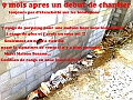10042008163 copie